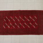 1020 1081 ORIENTAL RUG